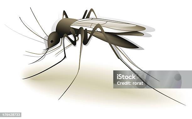 Mosquito - Arte vetorial de stock e mais imagens de Agressão - Agressão, Animal, Anófele