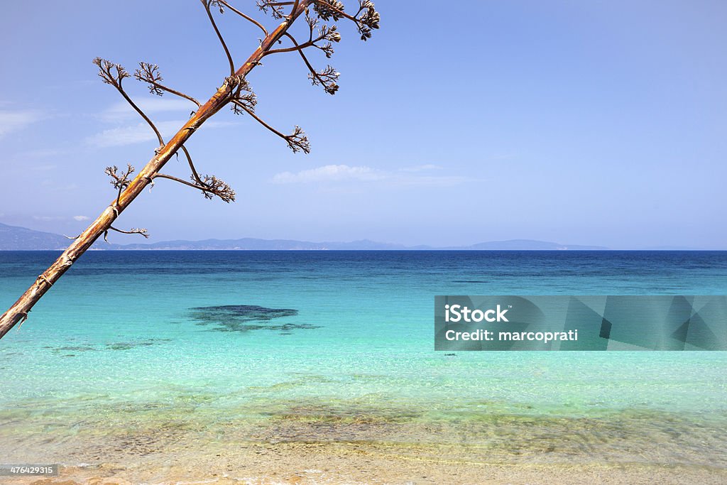 Paesaggio mediterraneo - Foto stock royalty-free di Albero
