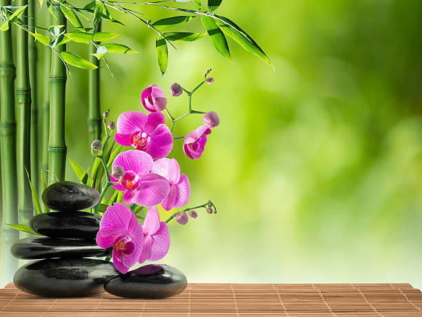 istock purple orchid, black stones and bamboo 476429685