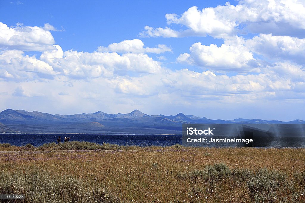 Yellowstone Lake (Lago Yellowstone) no Breeze - Foto de stock de Amarelo royalty-free