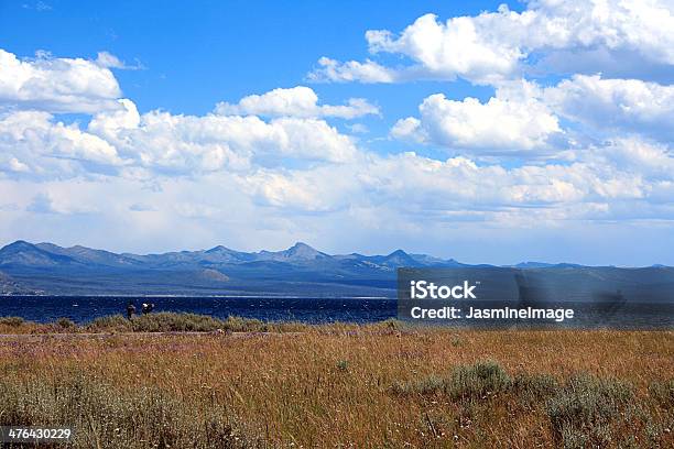 Foto de Yellowstone Lake No Breeze e mais fotos de stock de Amarelo - Amarelo, Arbusto, Azul