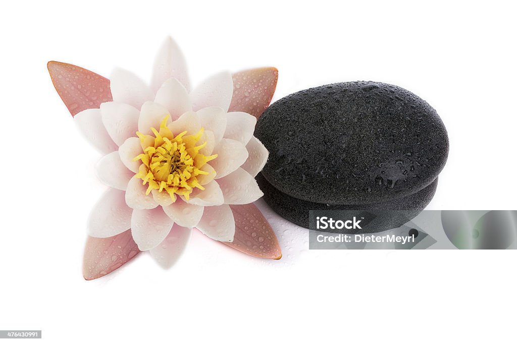 Lily with massage stones in black Isolated Lily Achievement Stock Photo