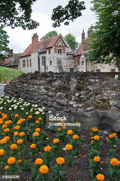Foto de Tradicional Inglês Casa Com Um Jardim Florido Na Frente e mais fotos de stock de Amarelo