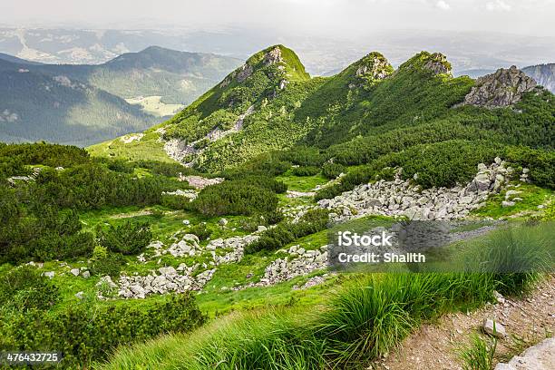 Photo libre de droit de Vue Sur Les Pics Sur Un Sentier De Montagne En Été banque d'images et plus d'images libres de droit de Activité de loisirs - Activité de loisirs, Arbre à feuilles persistantes, Aventure