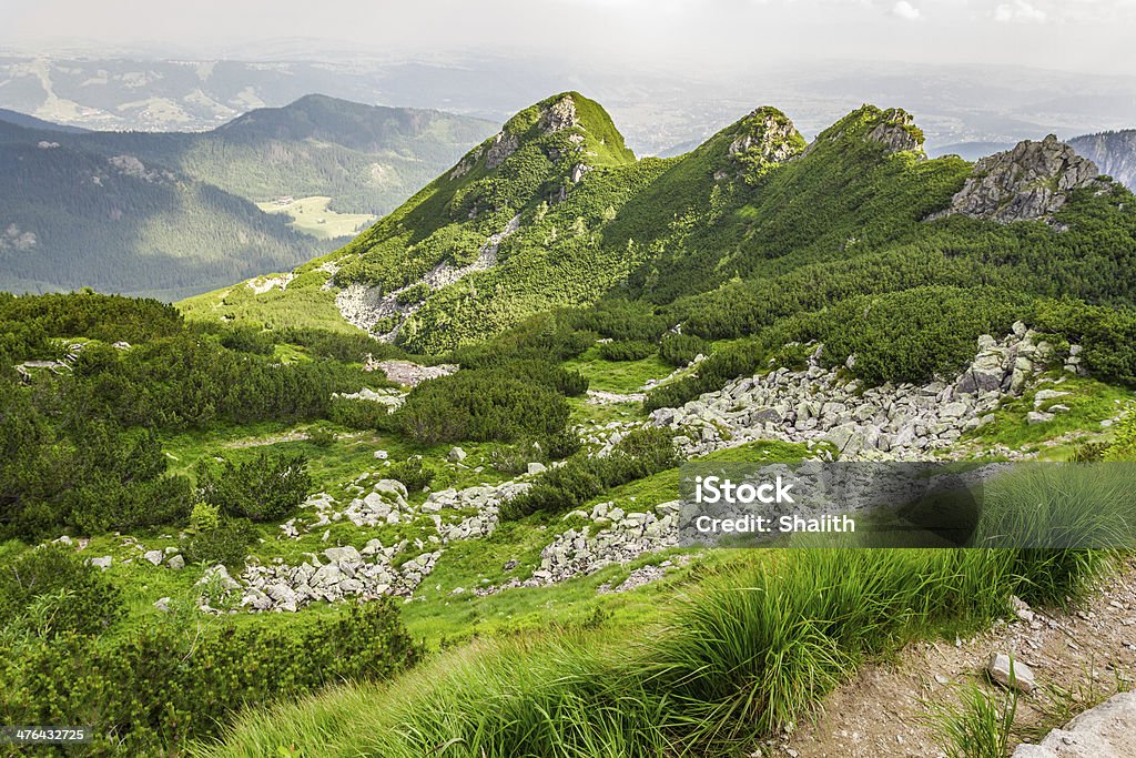 Vista dos picos para uma trilha de montanha no verão - Foto de stock de Atividade Recreativa royalty-free