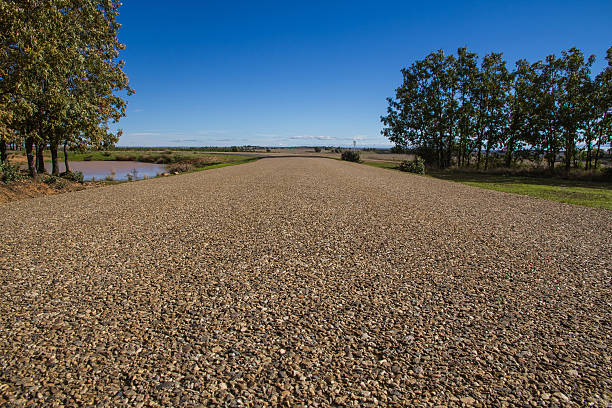 Old pebble rock countryside road during summer. Empty copy space.