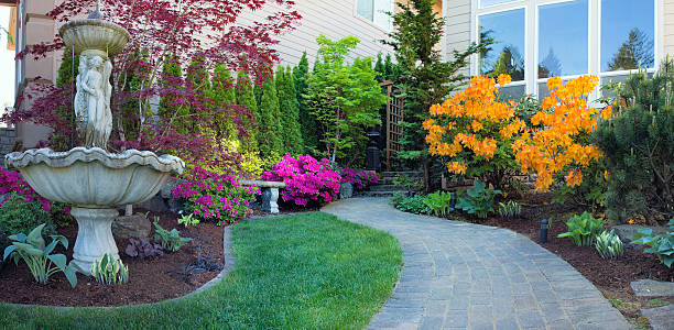 Frontyard Landscaping with Paver Walkway Frontyard Landscaping with Water Fountain and Brick Pavers Path with Azalea Flowers in Bloom chamaecyparis stock pictures, royalty-free photos & images