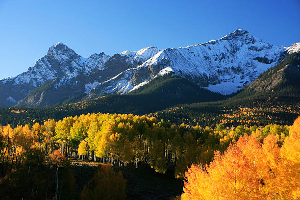 istock Dallas Divide, Uncompahgre National Forest, Colorado 476435321