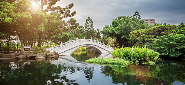Typical Chinese Garden with Lake and Bridge Panorama of Traditional Chinese Garden with pond and white bridge surrounded by green nature, backlit from the sun. Chiang Kai-shek Memorial Gardens, Taipei, Taiwan. chiang kai shek photos stock pictures, royalty-free photos & images