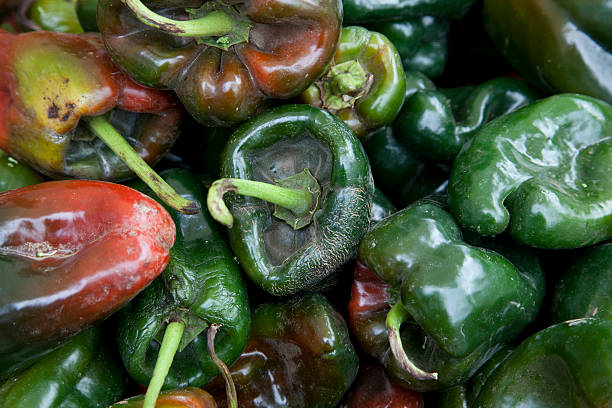 Colorido pimientos verdes y rojos en el mercado de agricultores - foto de stock