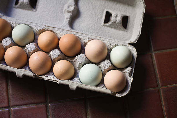 istock Brown, green, blue eggs in recycled paper egg carton 476436481