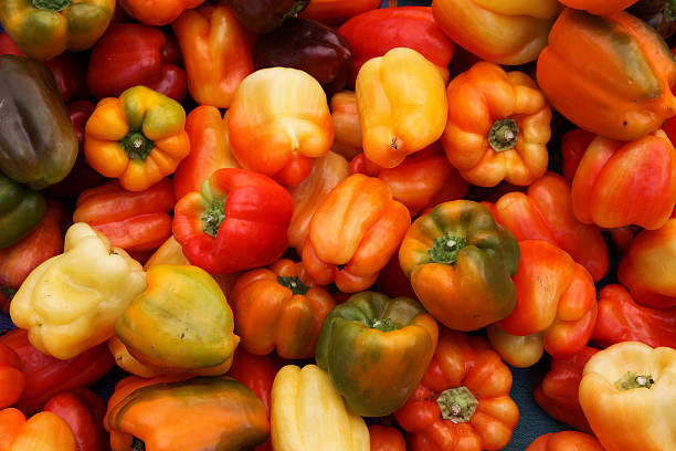 red green and yellow bell peppers stock photo