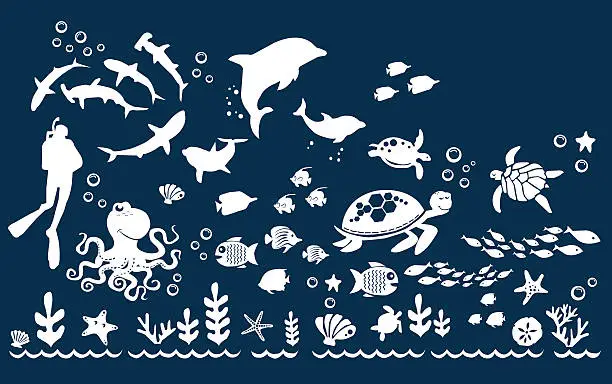 Vector illustration of sea life