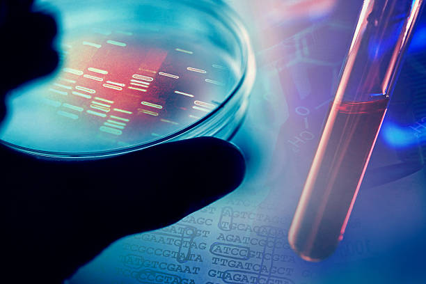 istock Petri dishes in arm with chemical elements. 476439515