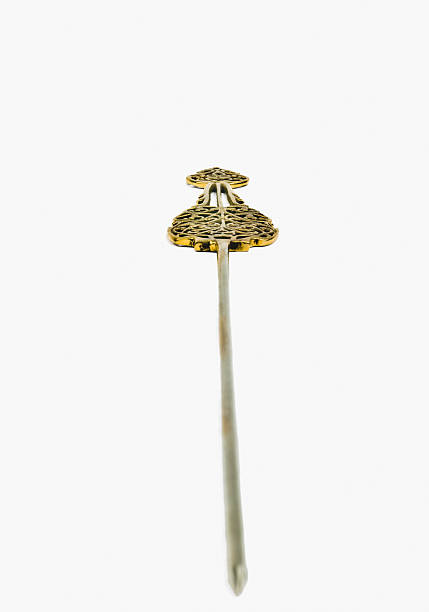 istock Close-up of a skewer 476441567