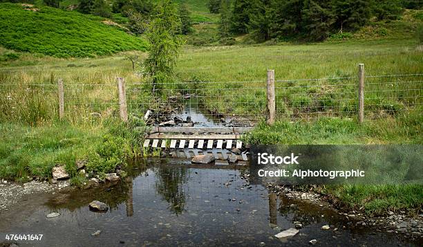 Cumbrian Ogrodzenie Nad Strumień - zdjęcia stockowe i więcej obrazów Anglia - Anglia, Bez ludzi, Drewno - Tworzywo