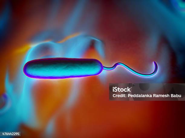 Gramnegativo N Forma De Bactérias - Fotografias de stock e mais imagens de Bactéria - Bactéria, Bactéria Bacillus subtilis, Bactéria da cólera