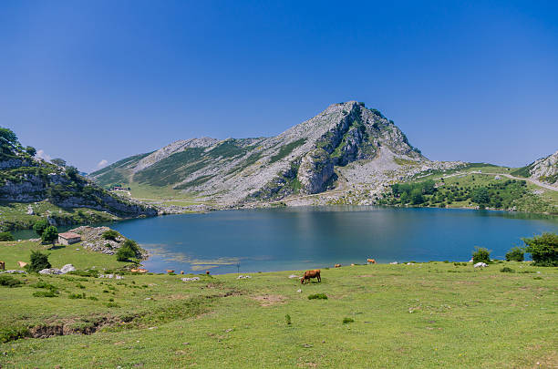 lake stock photo