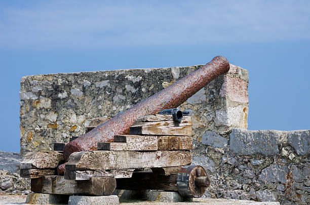 cannon stock photo