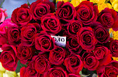 blumen.jpg?b=1&s=170x170&k=20&c=5aXW40zm32tFxdH7SdjX3dWookqi5PjextyxCLvc2Y4=