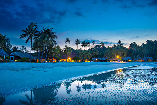 Tropical beach with palm trees  at night, low tide