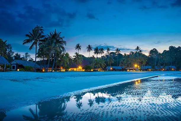Photo of Tropical beach with palm trees  at night, low tide