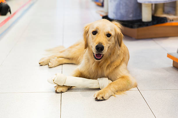 dog bone store