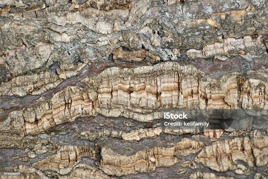 Textura de madera - Foto de stock de Agrietado libre de derechos