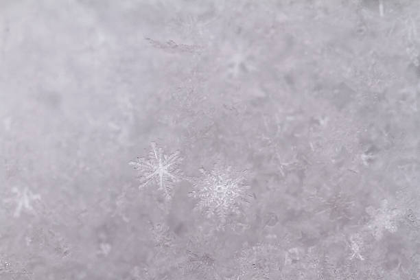 istock beauty white snowflake crystals 476457115