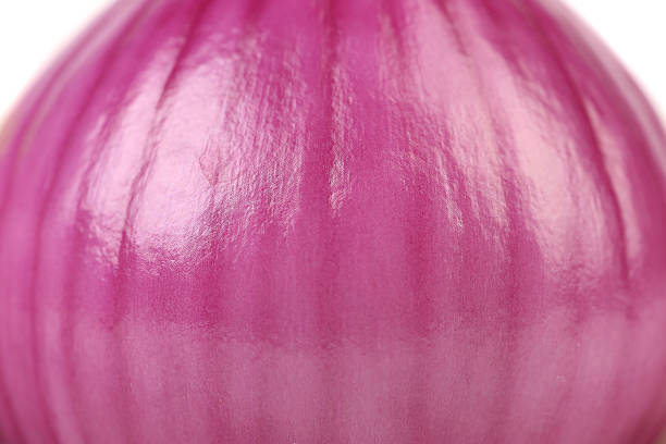 Close up purple onion
