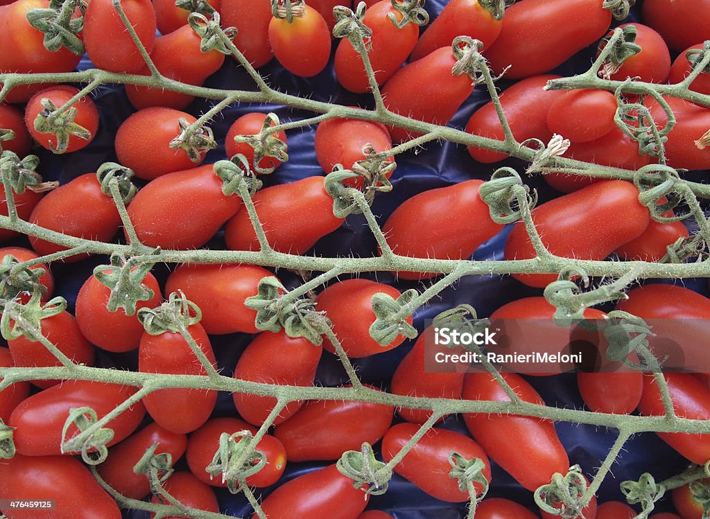 Bando de tomate italiano fresco - Foto de stock de Abundância royalty-free