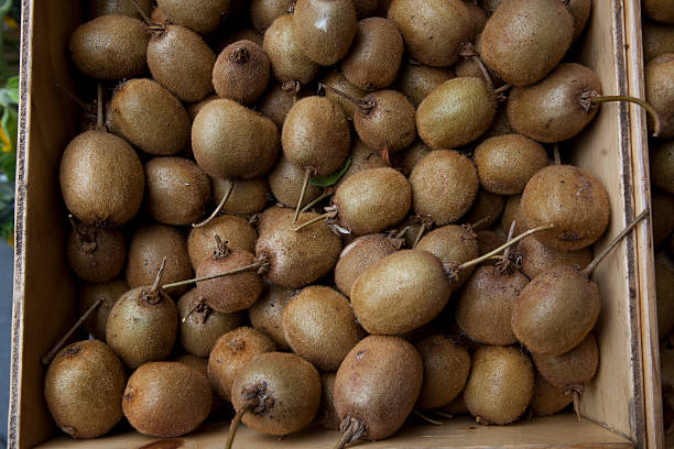 kiwis with stem in crates at california farmers market stock photo