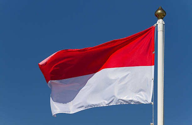 istock Flag of Monaco 476460299