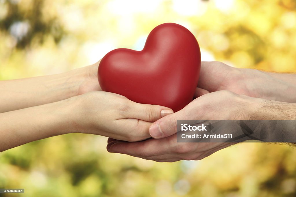 Heart Adult Stock Photo