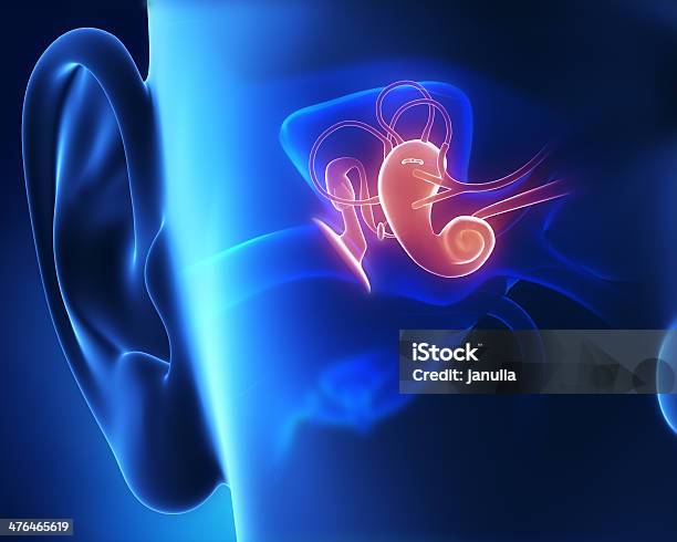 Computer Generated Image Of Middle Ear Anatomy Stock Photo - Download Image Now - Ear, Human Ear, Anatomy