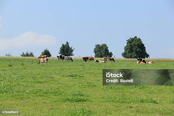 Kühe In Der Pasture Stockfoto und mehr Bilder von Alm - Alm, Baum, Formatfüllend