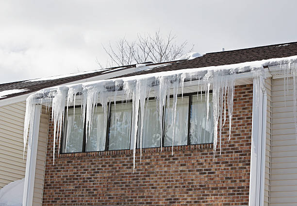 A row of large, heavy winter icicles hanging over the eavestrough edge of an apartment building roof.