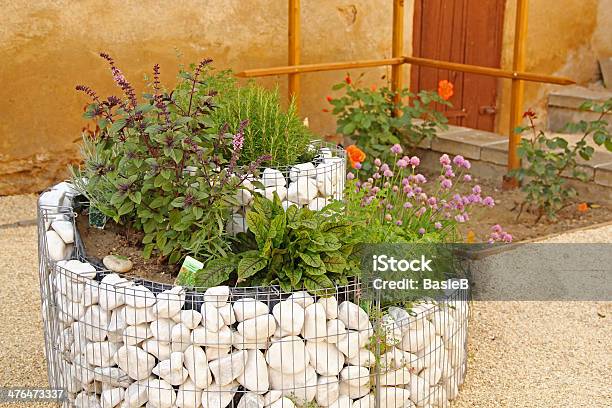 Fresh Herbs On The Terrace Stock Photo - Download Image Now - Spiral, Herb, Gabion Wall