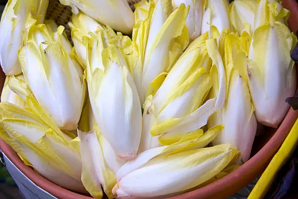 belgian endive at the farmer's market