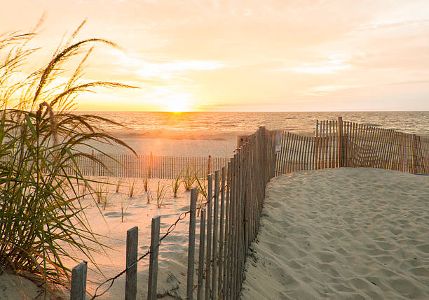 Sunrise South Bethany Beach Delaware Sunrise at South Bethany Beach Delaware in Sussex County marram grass stock pictures, royalty-free photos & images