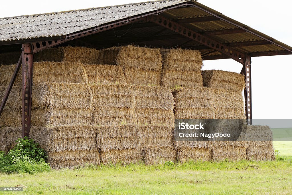 Fardos de palha sob o telhado - Foto de stock de Agricultura royalty-free