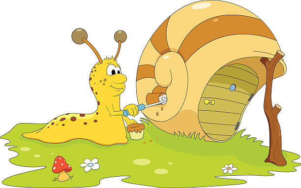 Caracol do Artista - ilustração de arte vetorial