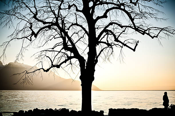 Sunset in Montreux