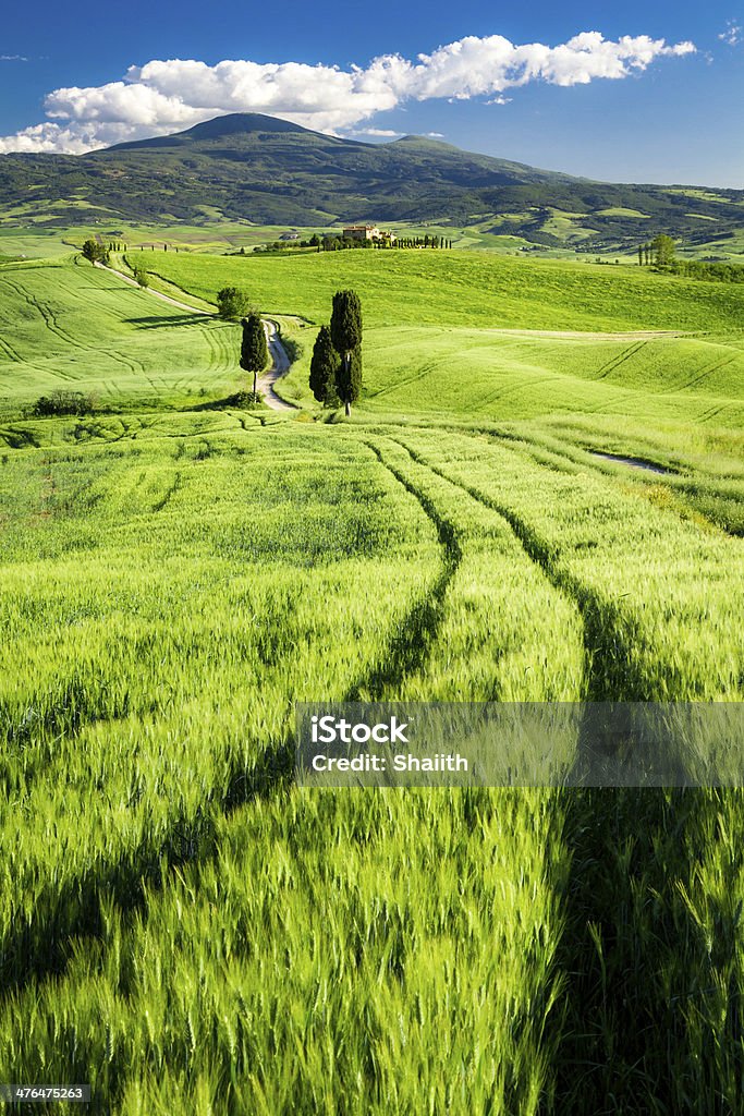 Splendida vista della valle, in Toscana - Foto stock royalty-free di Agricoltura