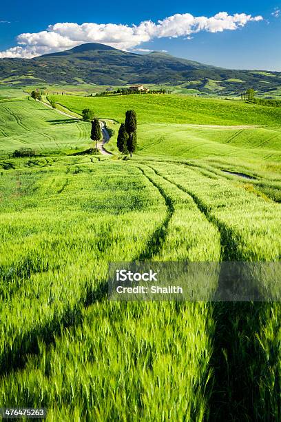 Splendida Vista Della Valle In Toscana - Fotografie stock e altre immagini di Agricoltura - Agricoltura, Alba - Crepuscolo, Ambientazione esterna
