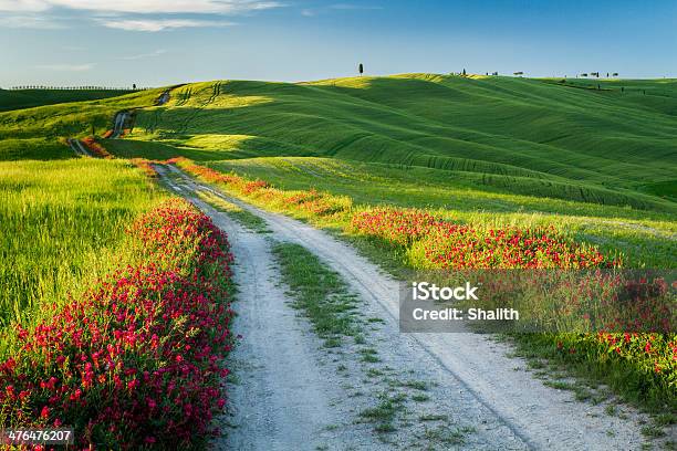 Foto de Bela Vista Dos Campos Verdes E Meadows Ao Pôrdosol Toscana e mais fotos de stock de Itália