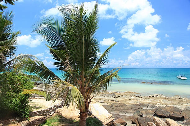 Samed Island at Rayong Thailand