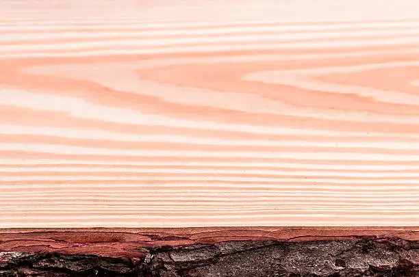 Close up of wood. Wonderful textured. Large copy space. Photo made with high quality photo equipment in a modern studio. 