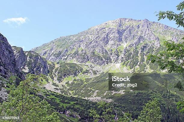 Widok Na Góry Tatry W Lecie - zdjęcia stockowe i więcej obrazów Bez ludzi - Bez ludzi, Bezchmurne niebo, Biały