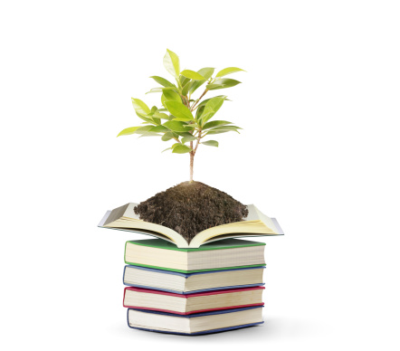 Open books with a plant